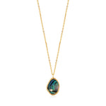 Gold Tidal Abalone Necklace