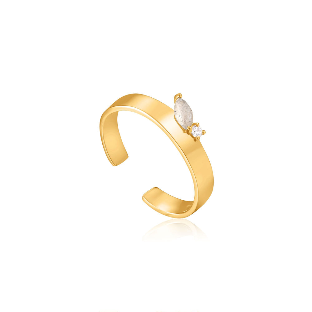 
            
                Load image into Gallery viewer, Gold Midnight Thick Adjustable Ring
            
        